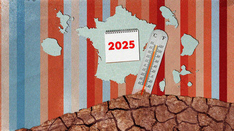 En 2025, les temp&eacute;ratures de 279 jours ont &eacute;t&eacute; plus chaudes que par le pass&eacute; en France | EntomoNews | Scoop.it