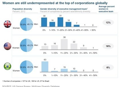 Why Diverse Organizations Perform Better: Do We Still Need Evidence? | Womens Business | Scoop.it