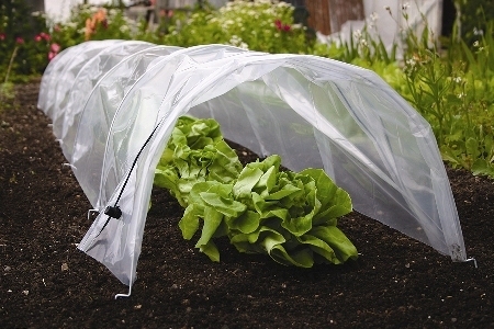 How to make a garden cloche | Gardening Life | Scoop.it