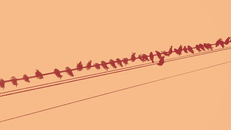 How to align your team to work productively | People-Centric Solutions | Scoop.it