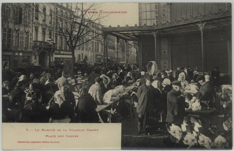 Saga Labouche, épisode 1 : les premières cartes postales | Toulouse La Ville Rose | Scoop.it