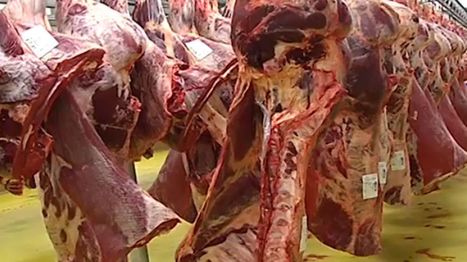 Les repreneurs de l'abattoir de Bastogne font marche arrière | La Gazette des abattoirs | Scoop.it
