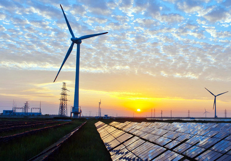 UniGreen: EGYPT’s Initiative to Battle Climate Change Through Youth Innovation | CIHEAM Press Review | Scoop.it