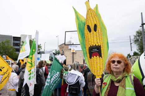 OGM&nbsp;: une nouvelle g&eacute;n&eacute;ration d&rsquo;organismes g&eacute;n&eacute;tiquement modifi&eacute;s, non transg&eacute;niques, autoris&eacute;e par le Parlement europ&eacute;en | SCIENCES DU VEGETAL | Scoop.it