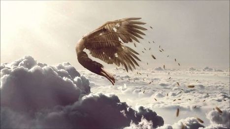 Crise dans la Silicon Valley: quel impact chez nous? | Tendances, technologies, m&eacute;dias & r&eacute;seaux sociaux : usages, &eacute;volution, statistiques | Scoop.it