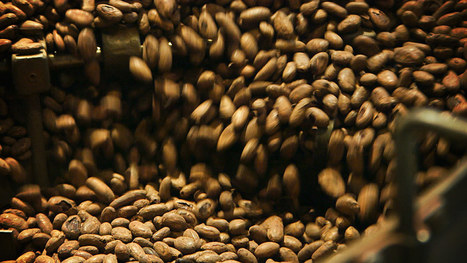 Historia: Teen ja kahvin tie Eurooppaan &ndash; Miten kofeiinijuomat tulivat osaksi arkea ja juhlaa? | Yle TV1 | yle.fi | 1Uutiset - Lukemisen t&auml;hden | Scoop.it