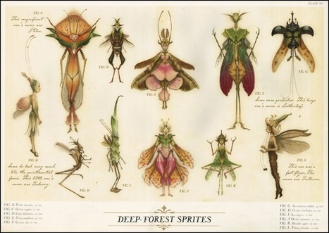 Forest Sprites | Gardening Life | Scoop.it
