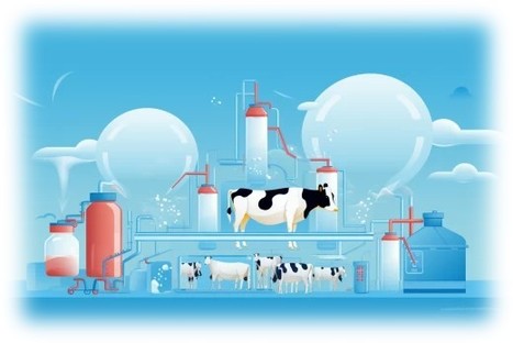 Point de vue - Le prix du lait : mythes et réalités d’un défi économique | Lait de Normandie... et d'ailleurs | Scoop.it