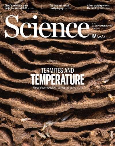 Pourquoi les termites risquent-ils de devenir les grands gagnants du réchauffement climatique ? | EntomoNews | Scoop.it