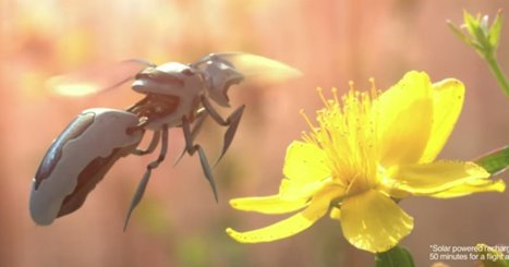 Walmart, la plus grande entreprise du monde, a déposé un brevet pour des abeilles robotisées autonomes | EntomoNews | Scoop.it