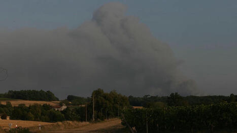 En Charente, le feu dans le massif de La Double n'est plus fixé, ni maîtrisé à cause des conditions météo | @ZeHub | Scoop.it