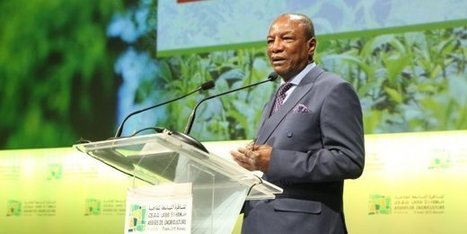 Le développement de l’Afrique, passe nécessairement par celui de l’agriculture | AFRIQUES | Scoop.it
