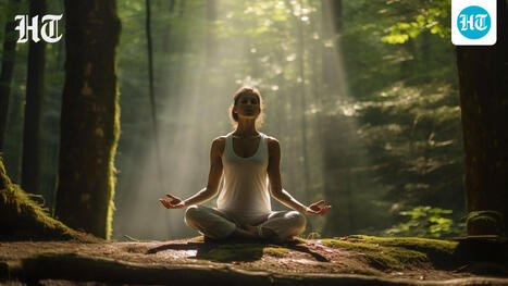 What is mindfulness meditation, and why are experts suggesting using this technique to avoid stress and anxiety? | Meditation Practices | Scoop.it