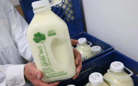 Wisconsin : Un petit éleveur laitier parie sur la tendance ‘A1-free milk’ | Lait de Normandie... et d'ailleurs | Scoop.it