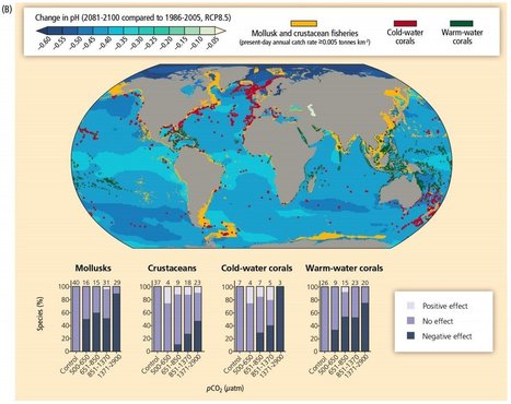 25 Devastating Effects Of Climate Change - Business Insider Australia | Climate Change & DRR in East Africa | Scoop.it