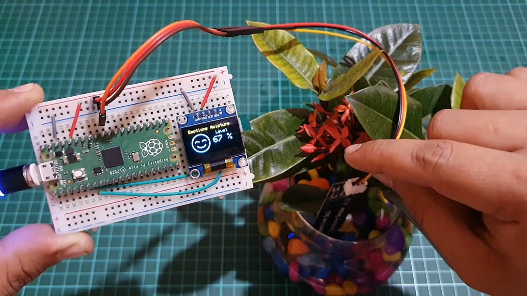 Raspberry Pi Pico Plant Monitoring System using...