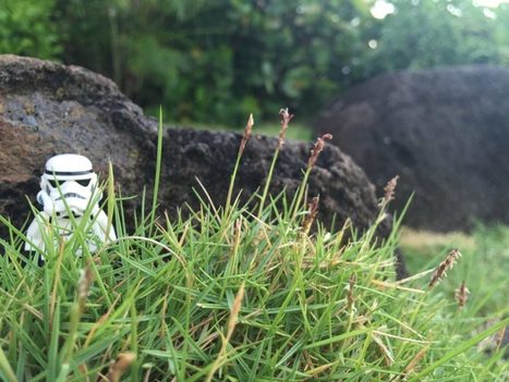 How To Get Started With WordPress | The Content Marketing Hat | Scoop.it