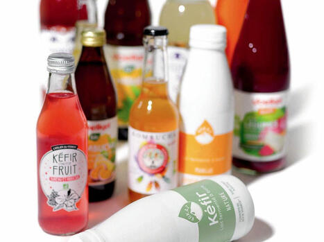ALIMENTATION : Kéfir, lassi, kombucha : les nouveaux élixirs santé | ALIMENTATIONS | Scoop.it
