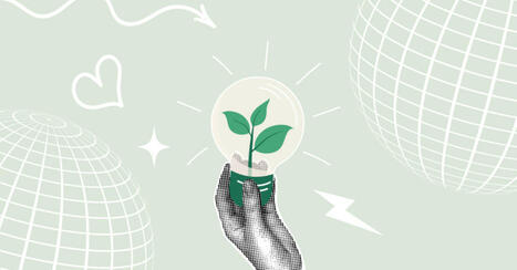 De la jungle des labels &agrave; la strat&eacute;gie | Hotel and accommodation trends | Scoop.it