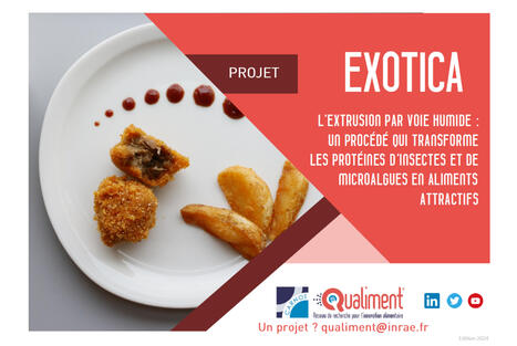 Journ&eacute;e technique sur la mise en forme des prot&eacute;ines alternatives : Les avanc&eacute;es en cuisson-extrusion du projet EXOTICA | 15 juin 2026 | Dijon &bull; | AGROALIMENTAIRE | Scoop.it