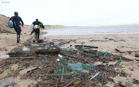 Les Landes en vert et avec tous : un rôle à jouer | Landes | Scoop.it