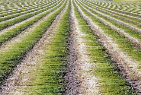 Les matériaux composites agrosourcés, un savoir-faire des Mines | Construction, réhabilitation et aménagement durables en Méditerranée | Scoop.it