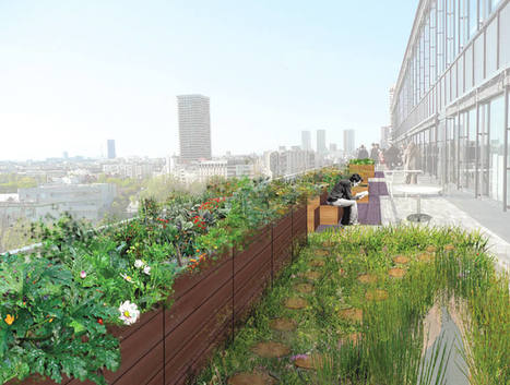 L'agriculture urbaine, mirage ou miracle ?   | ESPACES VEGETALISES URBAINS | Scoop.it