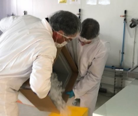 Le « respirateur moléculaire » d’Hemarina testé dans deux hôpitaux parisiens | L'INDUSTRIE EN BRETAGNE | Scoop.it