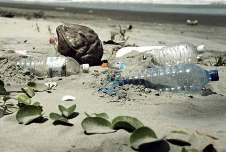 L'ONU déclare la guerre à l'océan de plastiques | GREENEYES | Scoop.it