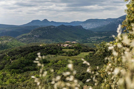 Découvrir les Cévennes en famille : Nos coups de cœur ! | Patrimoine & Grands Sites | Scoop.it