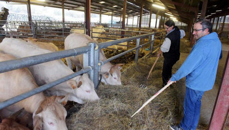 Gers : un atelier de découpe sera créé à Auch pour permettre aux éleveurs de maîtriser l’ensemble de leur production | La Gazette des abattoirs | Scoop.it