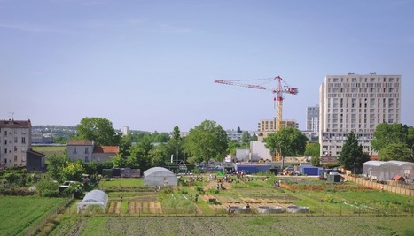 La ville, terreau fertile ? | ESPACES VEGETALISES URBAINS | Scoop.it