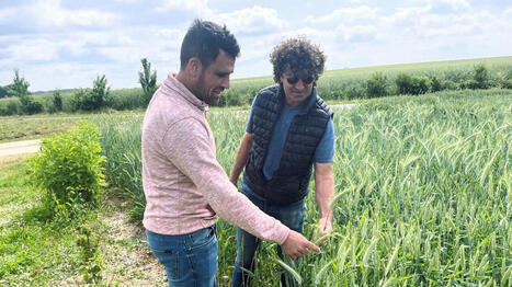 Jobs d’appoint, nouvelles pratiques… ces agriculteurs contraints à innover : « On en est tous là » - Ouest France [Abonnés] | Agriculture en Pays de la Loire | Scoop.it