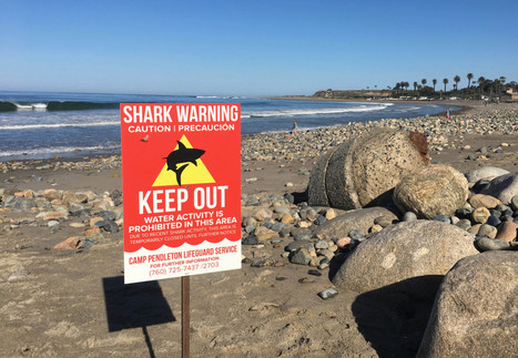 Rescuers recount shark attack at San Onofre State Beach, use surf leash to save victim’s life | Coastal Restoration | Scoop.it