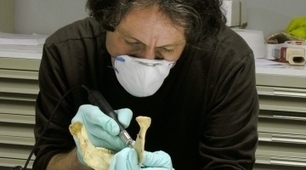 Neanderthals: Bone technique redrafts prehistory | 21st Century Innovative Technologies and Developments as also discoveries, curiosity ( insolite)... | Scoop.it