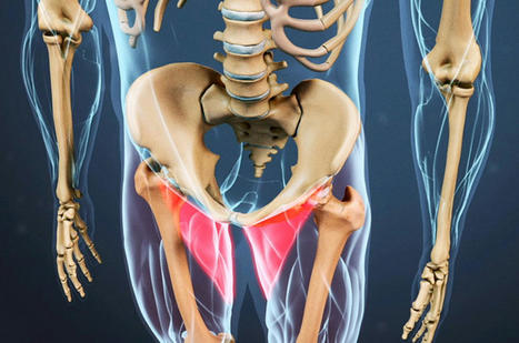 Groin Strain & The MET Technique | Call: 915-850-0900 | Mobility & Flexibility - Joint Movement | Scoop.it