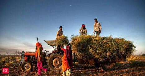 INDIA: West Asia conflict deals a double whammy to farm sector | ASIES | Scoop.it