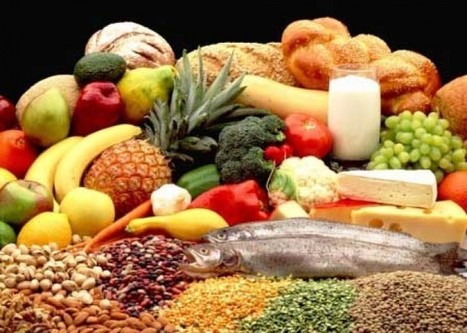 MANGER en 2013 : quelle agriculture pour manger durablement | Questions de développement ... | Scoop.it