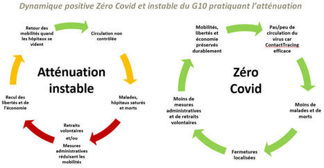 Etude du think tank Molinari : la stratégie Zéro Covid protège mieux populations, économies et libertés, août 2021 | Covid-19 : analyses et prospective | Scoop.it