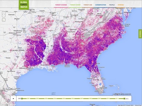 Google Lat Long: Monitoring the World's Forests with Global Forest Watch | Coastal Restoration | Scoop.it