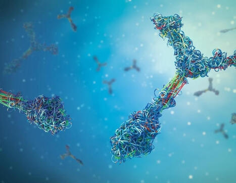 Study identifies PTX-3 as potential marker for long COVID and tissue damage | Virology News | Scoop.it