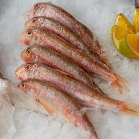 POISSONS : Quand un trésor de saison s’invite en cuisine  | CIHEAM Press Review | Scoop.it