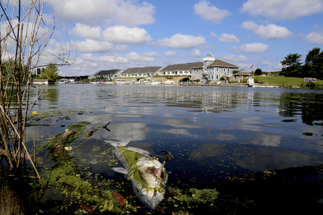 18 Environmental Groups Seek Bigger Fine for 2017 Chemical Spill at US Steel Portage plant into Burns Waterway / 27.12.2019 | Pollution accidentelle des eaux par produits chimiques | Scoop.it