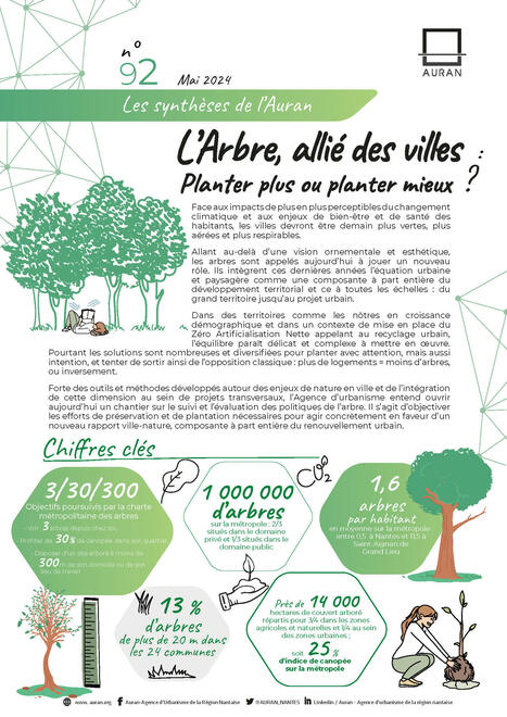 L'Arbre, alié des villes : Planter plus ou planter mieux ? - « Les synthèses de l’Auran » #92 - Fnau | ESPACES VEGETALISES URBAINS | Scoop.it