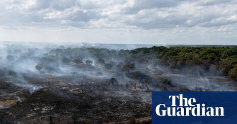 Revealed: Government quietly dropped plan to prepare England for wildfires | by&nbsp;Pippa Neill | Wildfires | TheGuardian.com | @The Convergence of ICT, the Environment, Climate Change, EV and HEV Transportation & Distributed Renewable Energy | Scoop.it