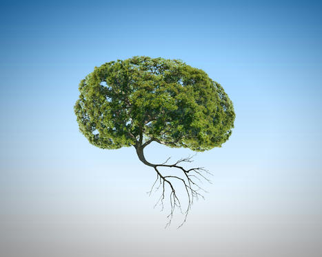 POLLUTION de l’air, pollution de la cognition | Toxique, soyons vigilant ! | Scoop.it