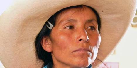 Pérou - Une paysanne péruvienne garde sa terre face aux milliards d’une multinationale | Koter Info - La Gazette de LLN-WSL-UCL | Scoop.it