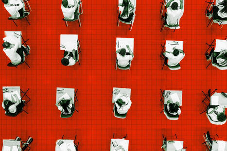 New Study Finds AI in Schools Is Undermining Kids' Social and Intellectual Development | Inova&ccedil;&atilde;o Educacional | Scoop.it