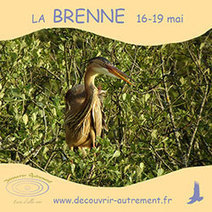 8&egrave;me &eacute;dition de la F&ecirc;te de la Nature | Ornithomedia.com | Landart, art environnemental | Scoop.it