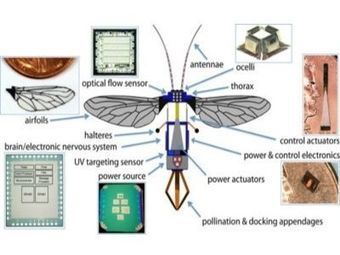 Un insecte artificiel en cas de disparition des abeilles ? | EntomoNews | Scoop.it